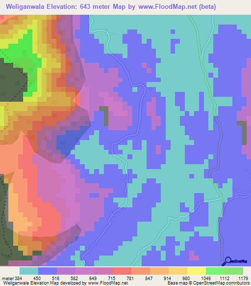 Weliganwala,Sri Lanka Elevation Map