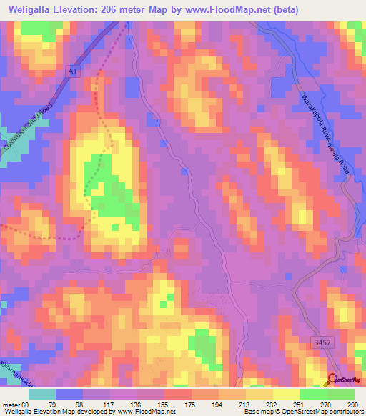 Weligalla,Sri Lanka Elevation Map