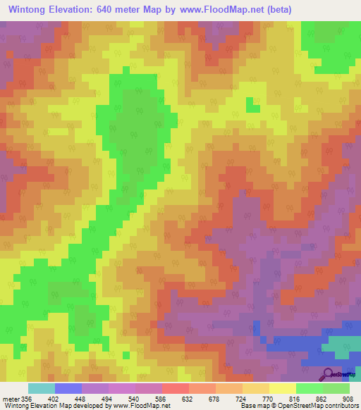 Wintong,India Elevation Map