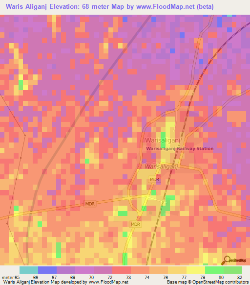 Waris Aliganj,India Elevation Map