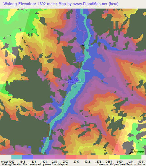Walong,India Elevation Map
