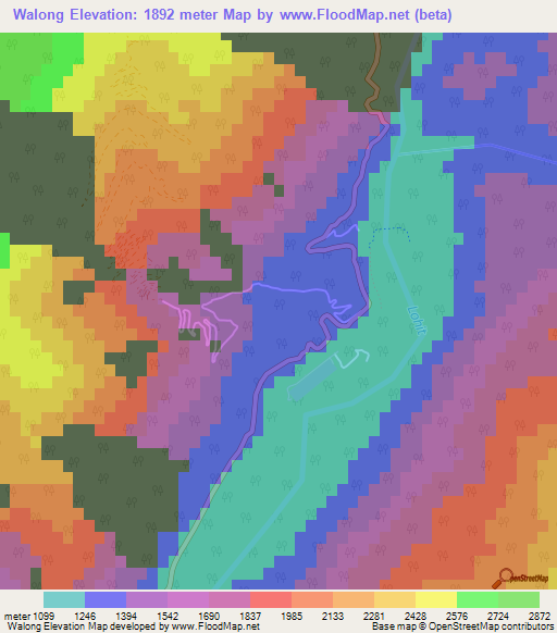 Walong,India Elevation Map