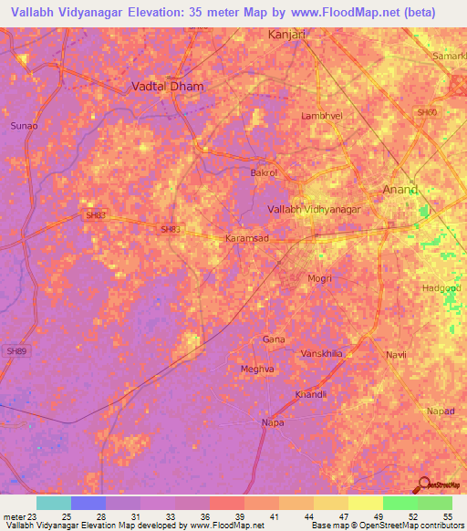 Vallabh Vidyanagar,India Elevation Map