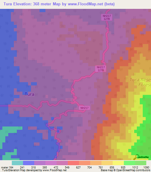 Tura,India Elevation Map