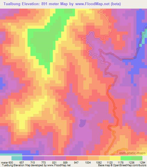 Tualbung,India Elevation Map