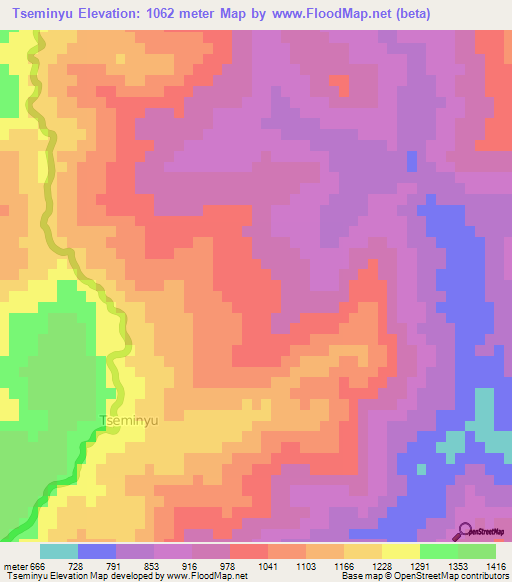 Tseminyu,India Elevation Map