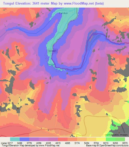 Tongul,India Elevation Map