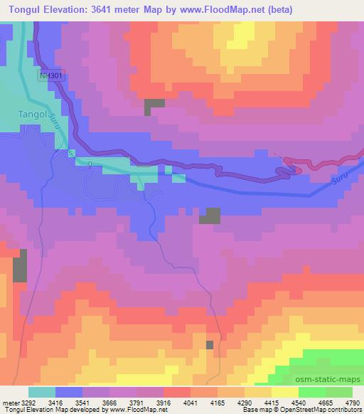 Tongul,India Elevation Map