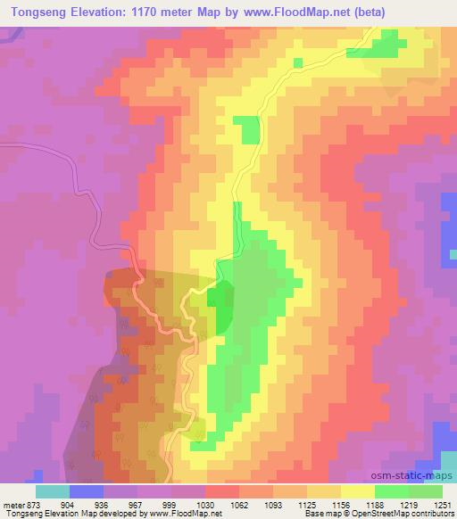 Tongseng,India Elevation Map