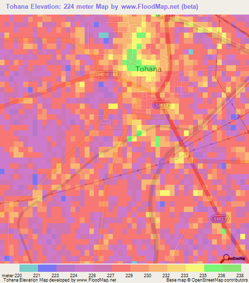 Tohana,India Elevation Map