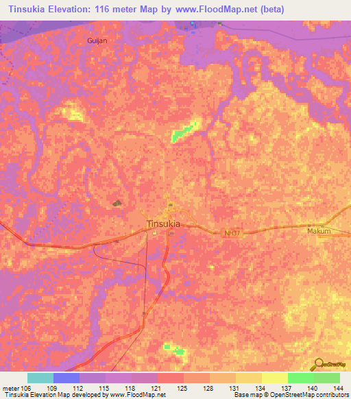 Tinsukia,India Elevation Map