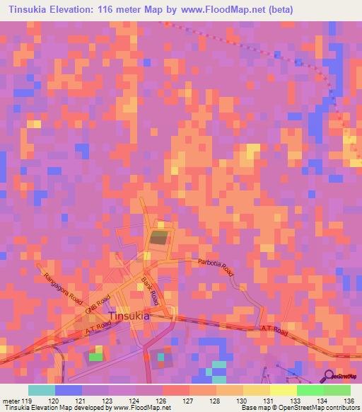 Tinsukia,India Elevation Map