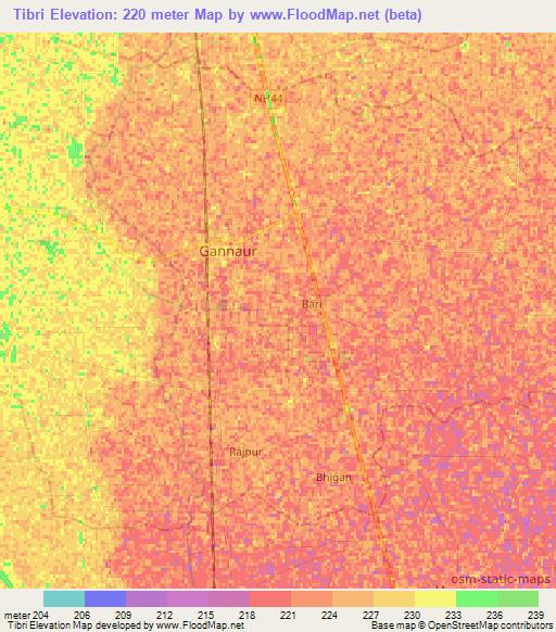 Tibri,India Elevation Map