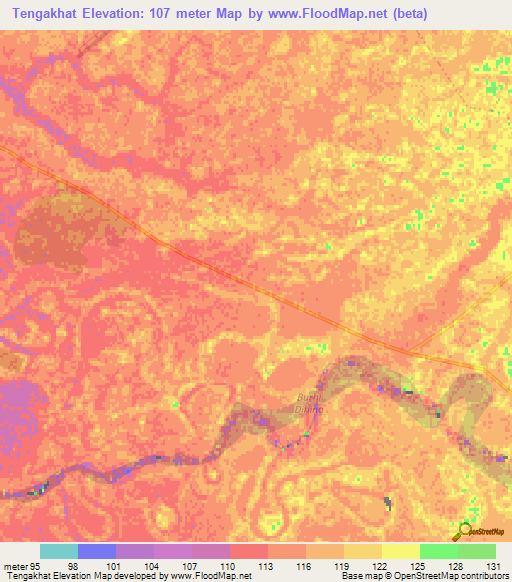 Tengakhat,India Elevation Map