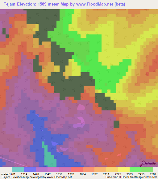 Tejam,India Elevation Map