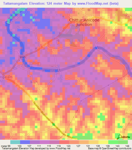 Tattamangalam,India Elevation Map