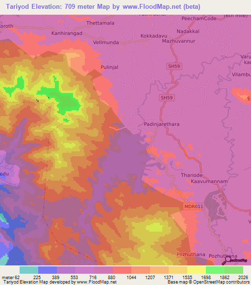 Tariyod,India Elevation Map