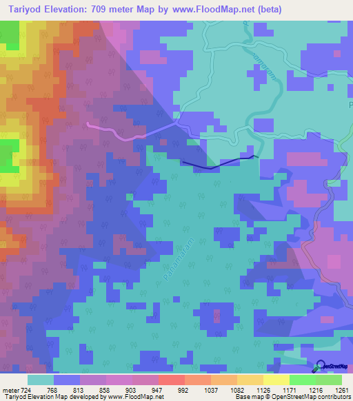 Tariyod,India Elevation Map