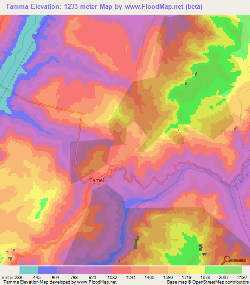 Tamma,India Elevation Map