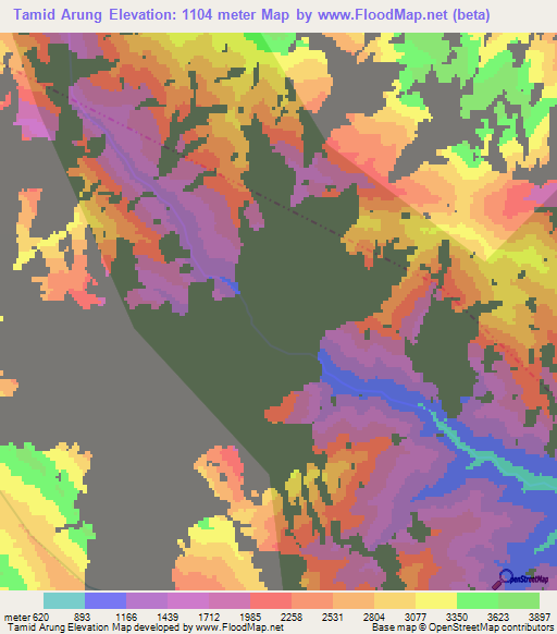 Tamid Arung,India Elevation Map