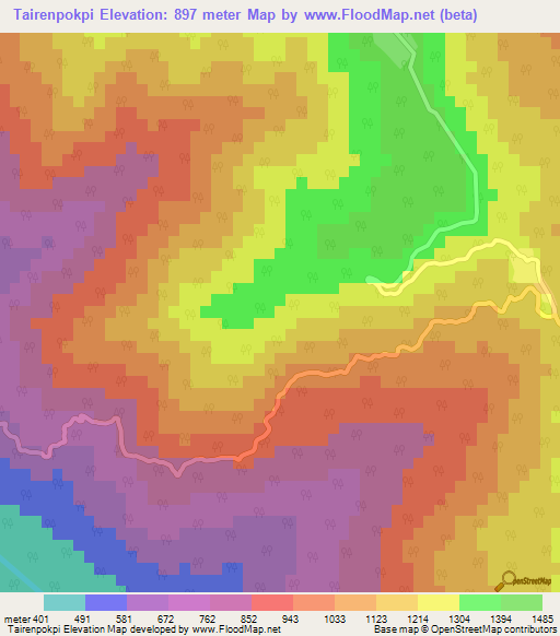 Tairenpokpi,India Elevation Map
