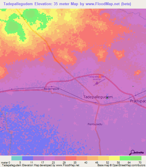 Tadepallegudem,India Elevation Map