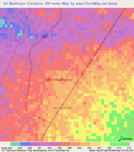 Sri Madhopur,India Elevation Map