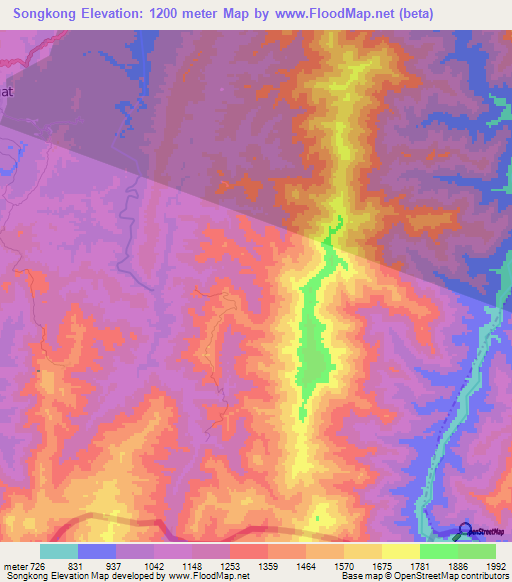 Songkong,India Elevation Map