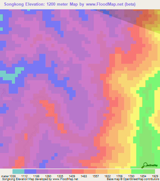 Songkong,India Elevation Map