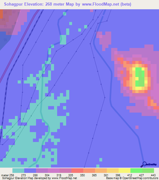 Sohagpur,India Elevation Map