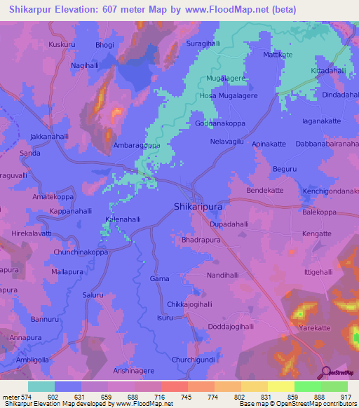 Shikarpur,India Elevation Map