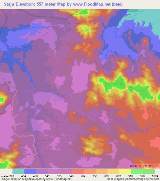 Sarju,India Elevation Map
