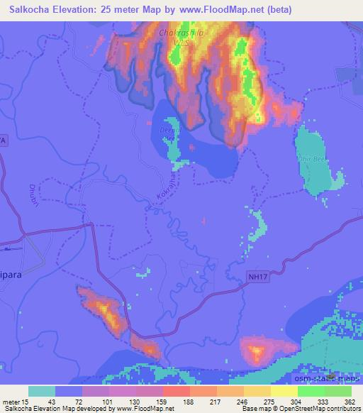 Salkocha,India Elevation Map