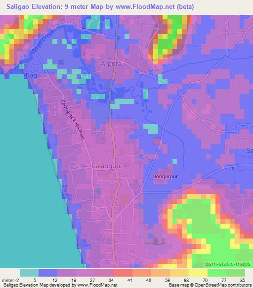 Saligao,India Elevation Map