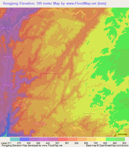 Rongjeng,India Elevation Map