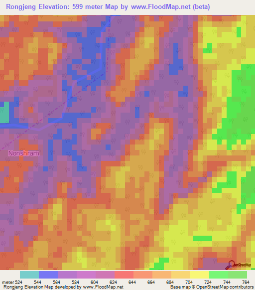 Rongjeng,India Elevation Map