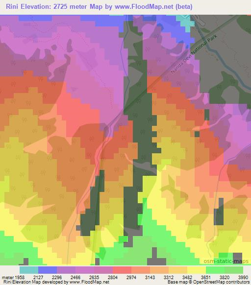 Rini,India Elevation Map