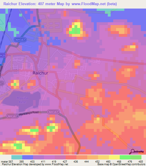 Raichur,India Elevation Map
