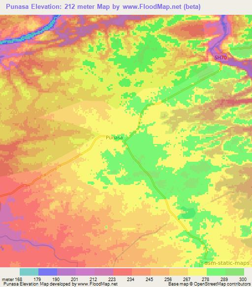 Punasa,India Elevation Map