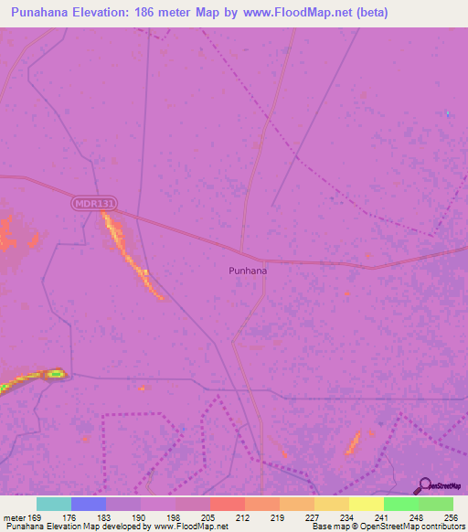 Punahana,India Elevation Map