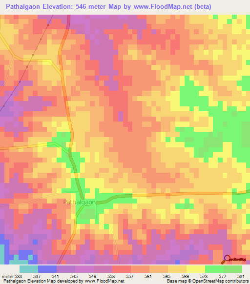 Pathalgaon,India Elevation Map