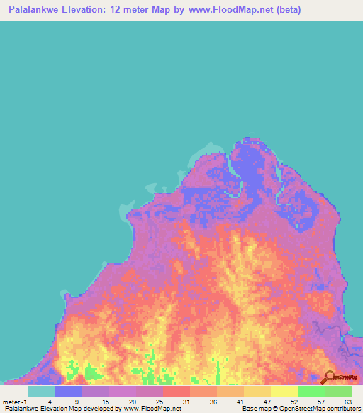 Palalankwe,India Elevation Map