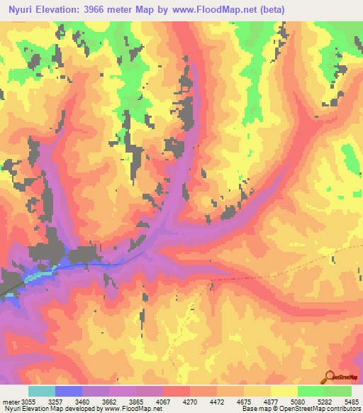 Nyuri,India Elevation Map