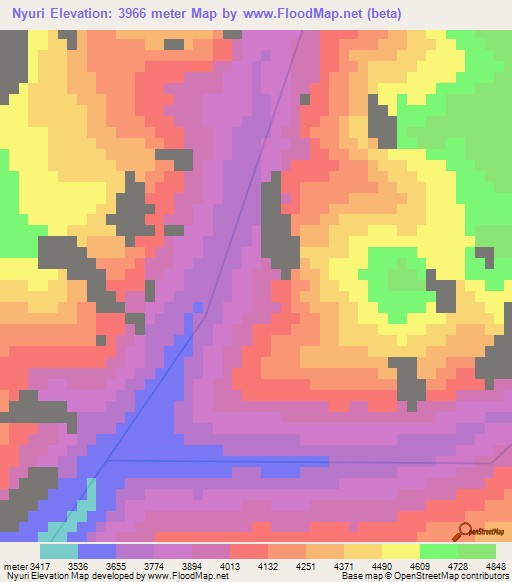 Nyuri,India Elevation Map