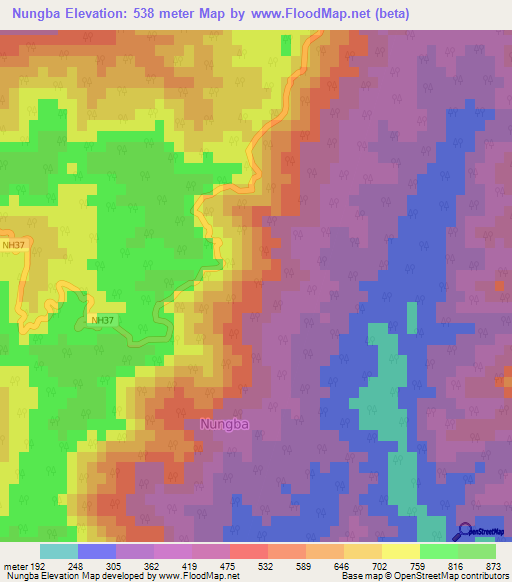Nungba,India Elevation Map