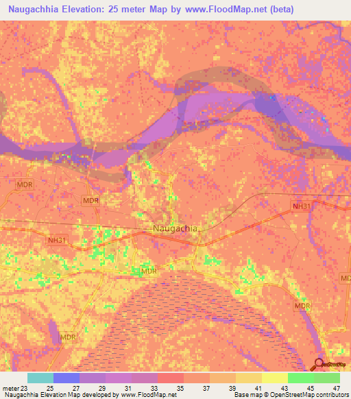 Naugachhia,India Elevation Map