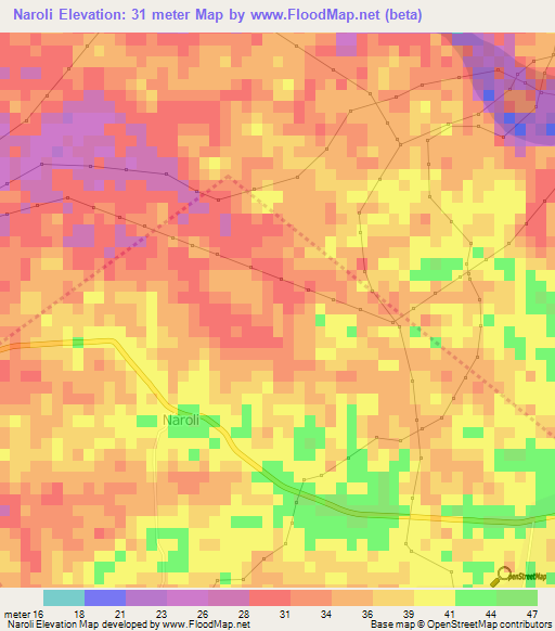 Naroli,India Elevation Map