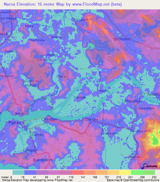 Naroa,India Elevation Map