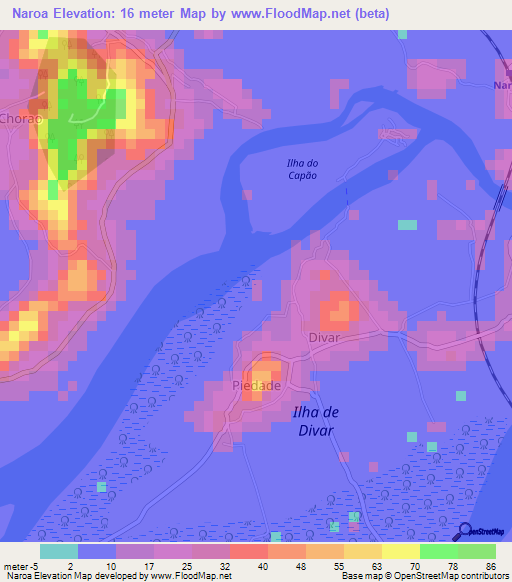 Naroa,India Elevation Map