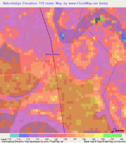 Nahorkatiya,India Elevation Map